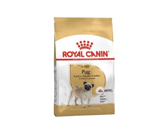 Royal Canin Pug Adult 10